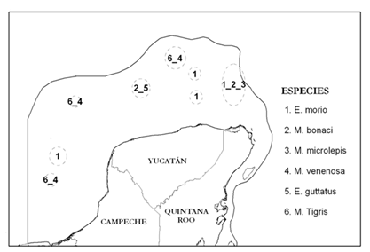 Mapa — distribución de especies marinas (Yucatán)